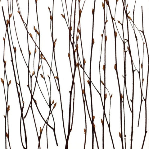 Natural - Birch