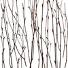 Natural - Birch