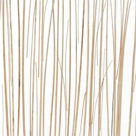 Natural - Palapa Blonde Light