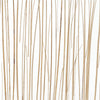 Natural - Palapa Blonde Light