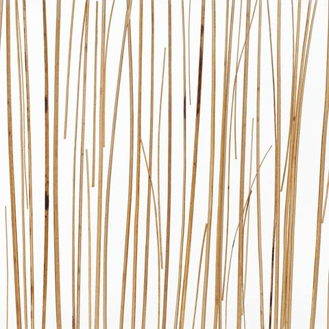 Natural - Palapa Grass Light