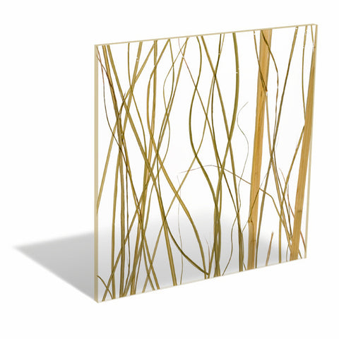 Natural - Prairie Grass