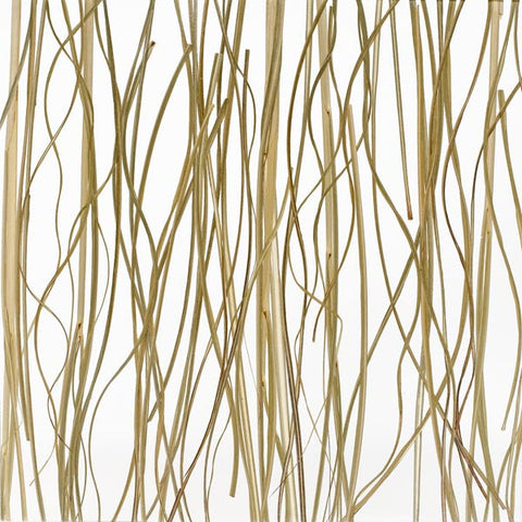 Natural - Prairie Grass