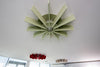 Lattice (Hanging Baffles)